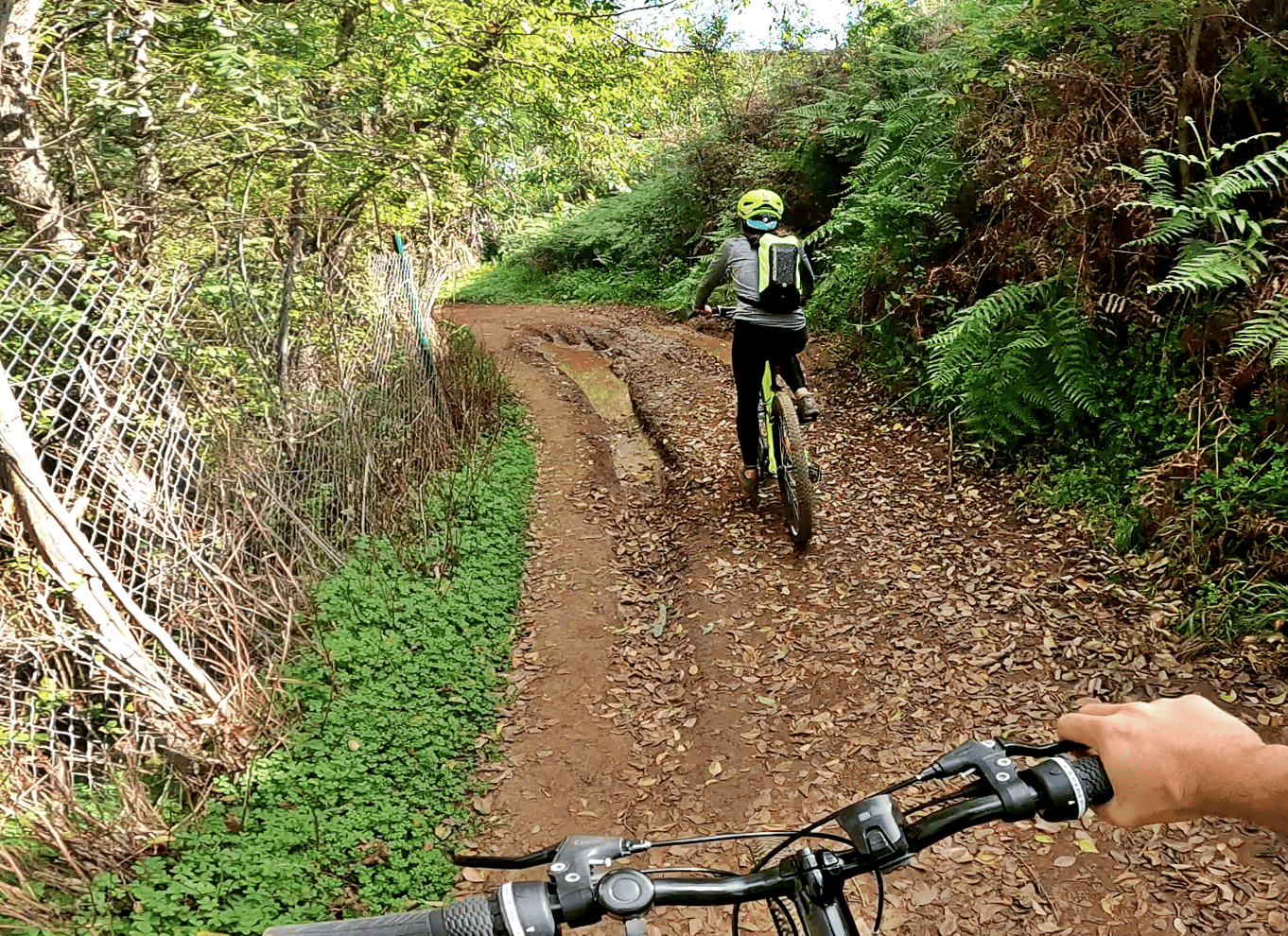 Firgas: Mountainbike-tur i skoven på Gran Canaria