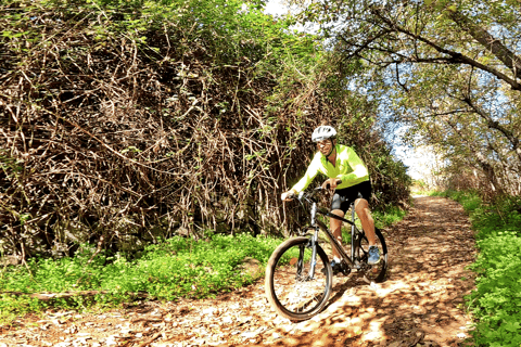 Valleseco: Gran Canaria Forest Mountain Bike Tour with Snack