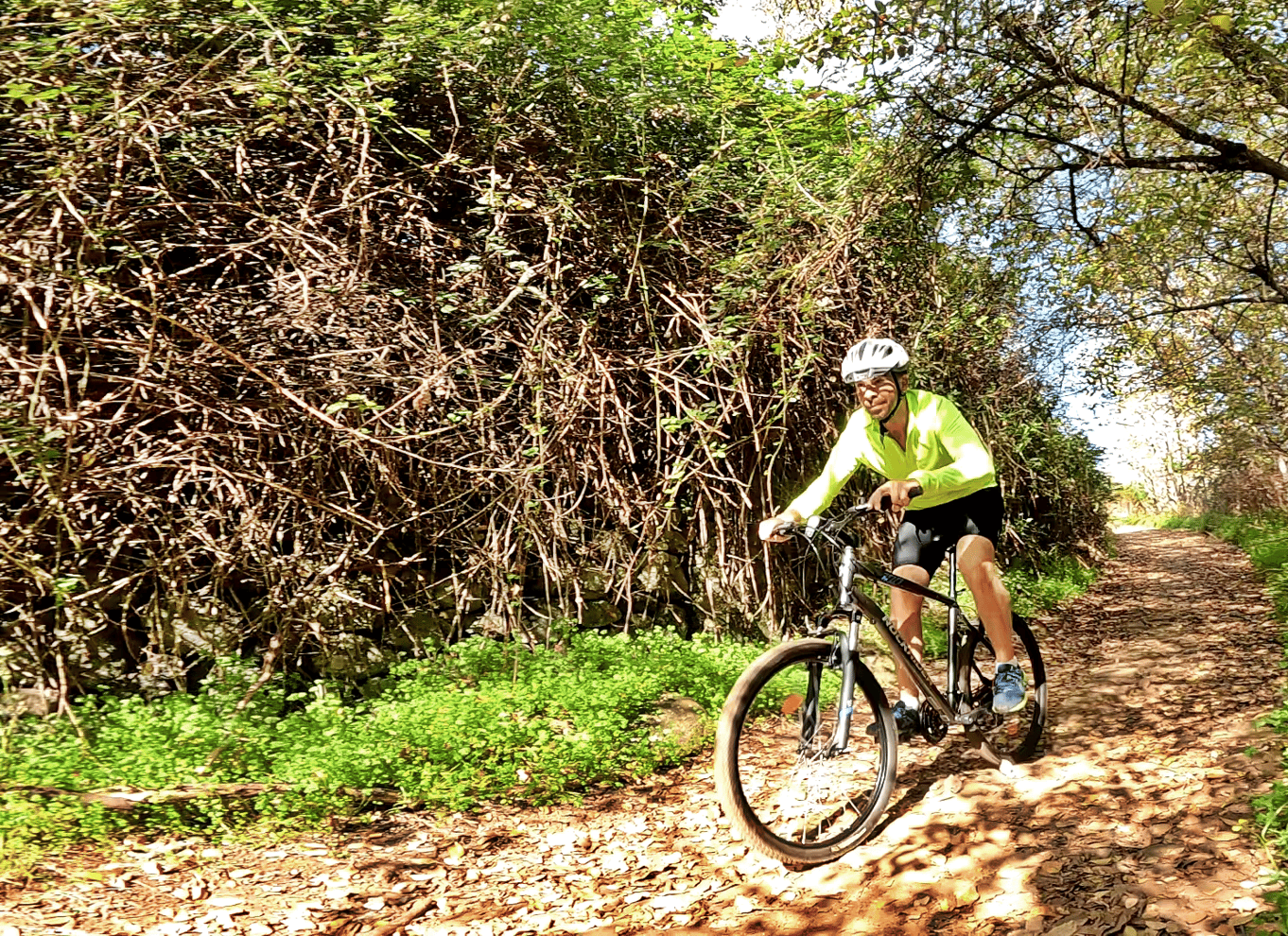 Firgas: Mountainbike-tur i skoven på Gran Canaria