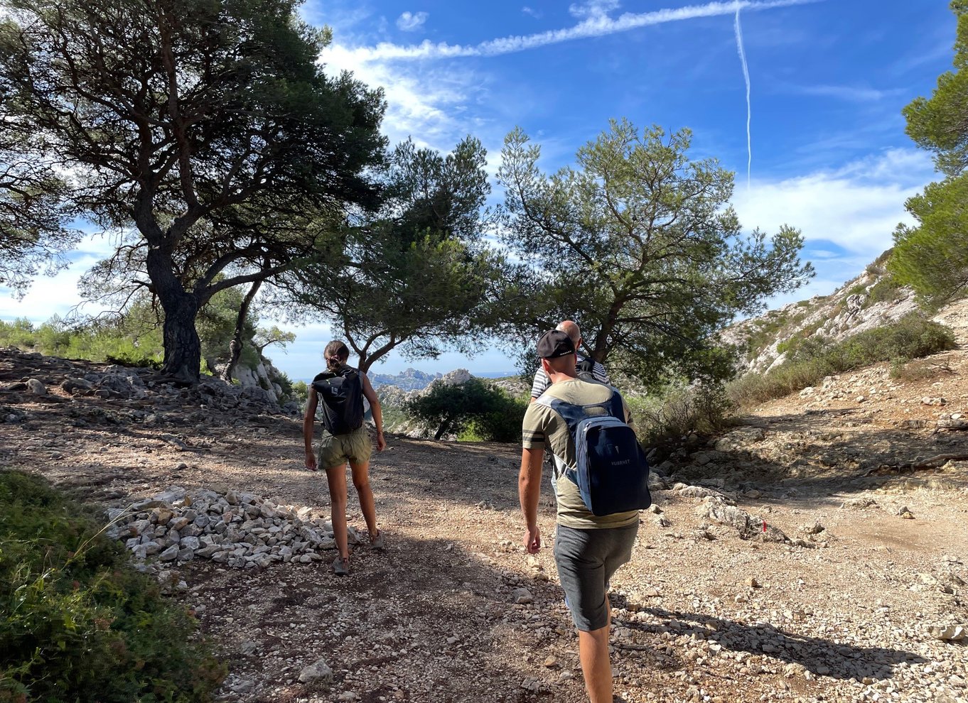 Marseille: Sormiou Calanque halvdags vandretur med svømning