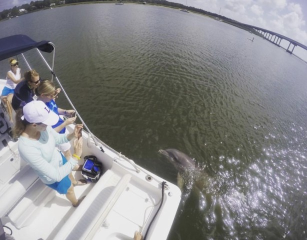 Visit Hilton Head Island Private Dolphin Watching Boat Tour in Hilton Head Island