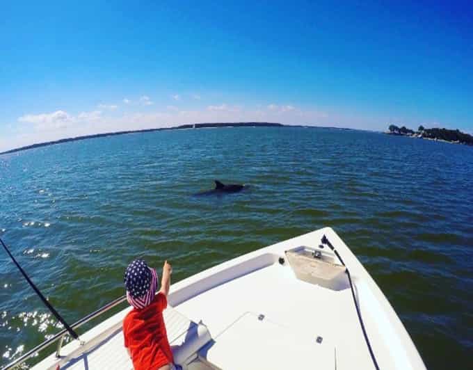 Hilton Head Island Private Dolphin Watching Boat Tour GetYourGuide