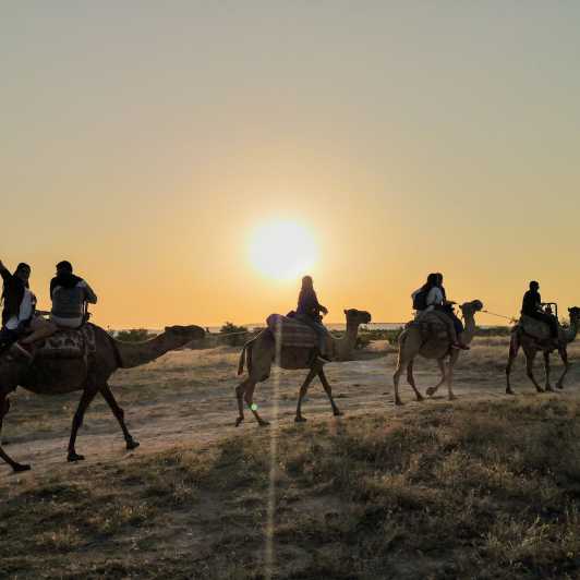 Capadócia: passeio panorâmico de camelo ao pôr do sol ou nascer do sol