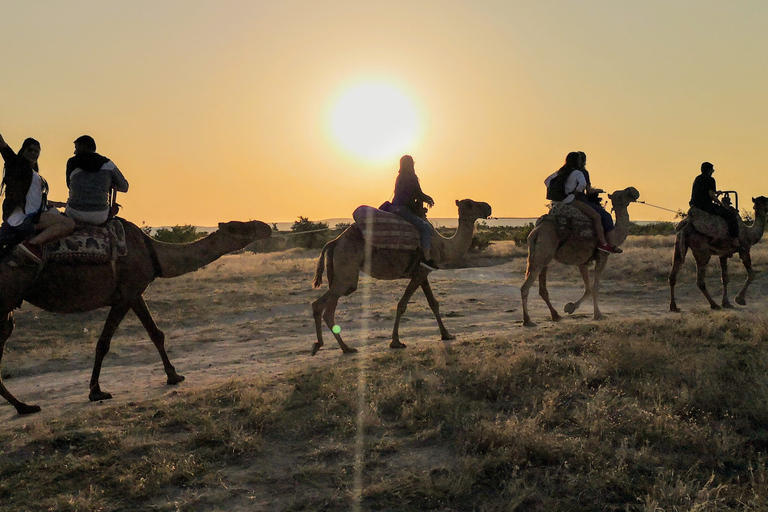 Cappadocia: Pigeon Valley Sunset or Sunrise Camel Ride Cappadocia: Sunrise Camel Ride