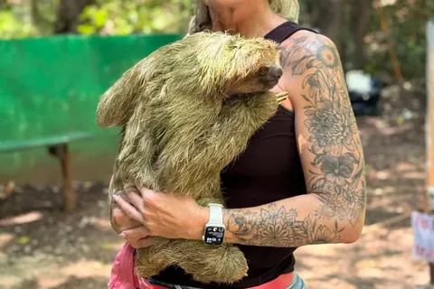 Roatan Monkey and sloth, Chocolate & Rum tasting beach Break