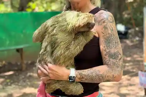 Roatan Monkey and sloth, Chocolate & Rum tasting beach Break