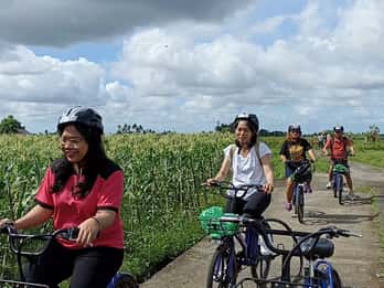 Tour en e-Bike por Ubud y Rafting en Aguas Bravas