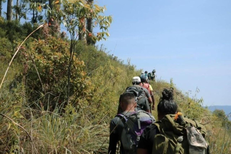 Kandy: Hidden Highlands Nature Walk