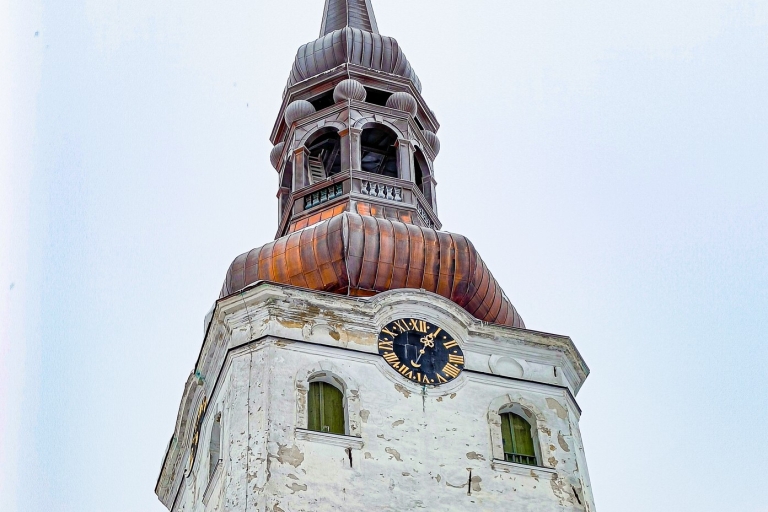 Tallinn : Visite guidée à pied des points forts de la ville