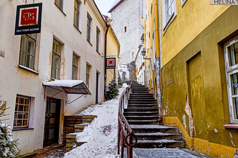 Tallinn : Visite guidée à pied des points forts de la ville