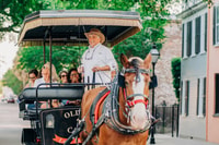 Charleston, Visite historique du centre-ville en transport à cheval - Hizvo