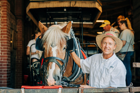 Charleston: recorrido por el centro histórico en carruaje tirado por caballos