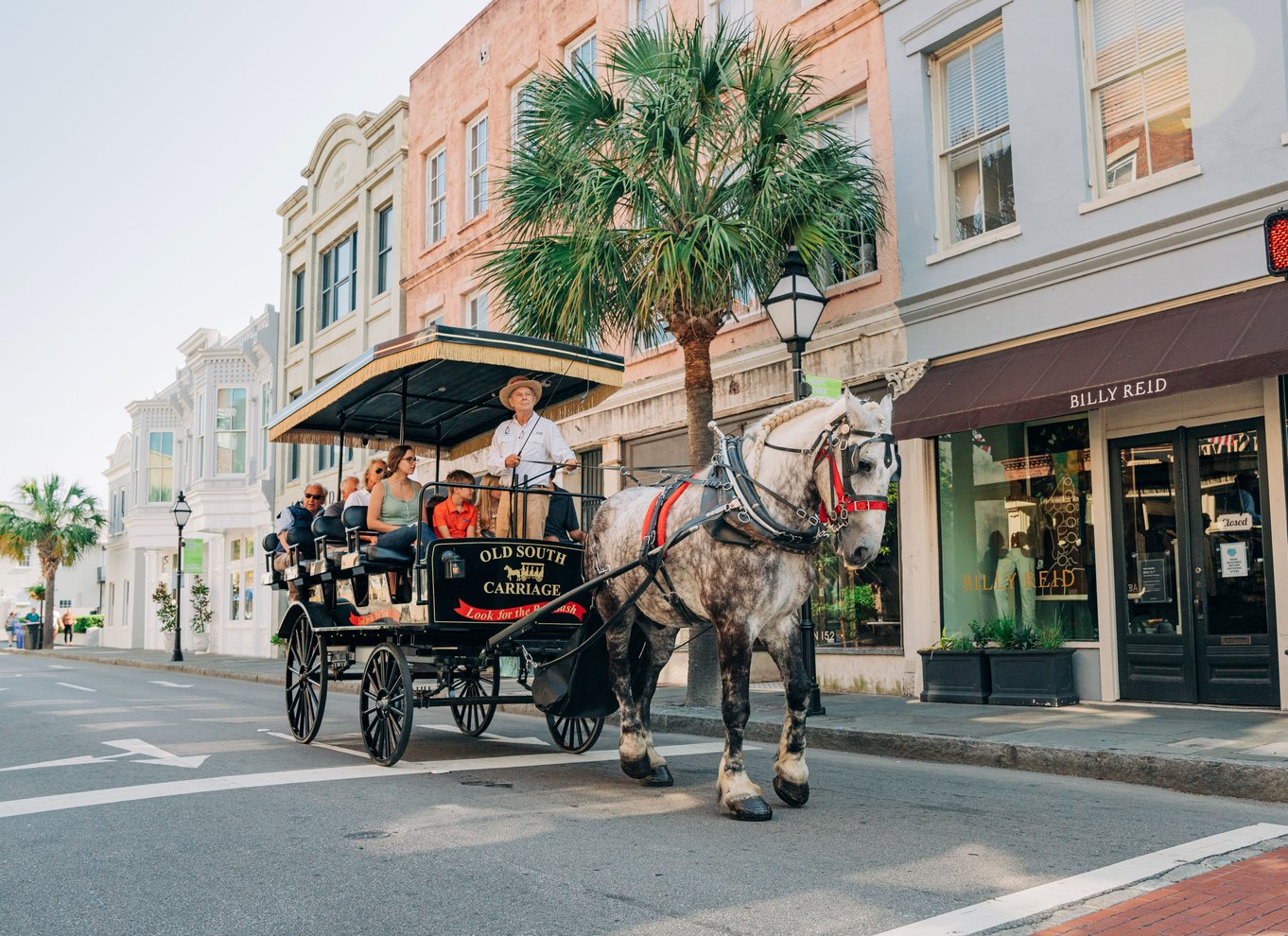 Charleston: Historisk tur i centrum med hestevogn