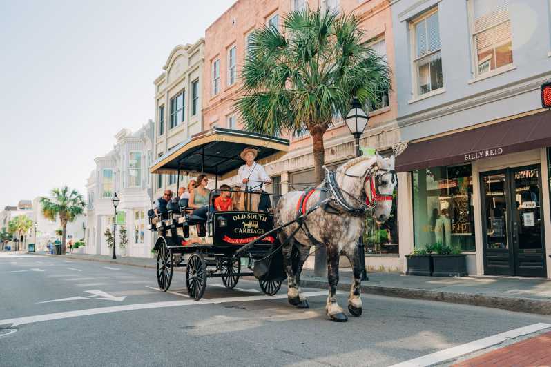 Charleston: Historisk sentrumstur med hestevogn