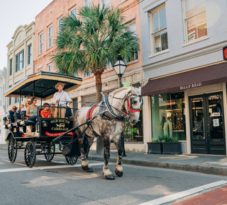 Passeios de carruagem em Charleston (Carolina Do Sul)