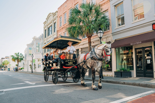 Horse-drawn Carriage Tours in Charleston