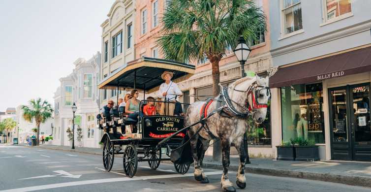 Charleston Historical Downtown Tour by Horse drawn Carriage GetYourGuide