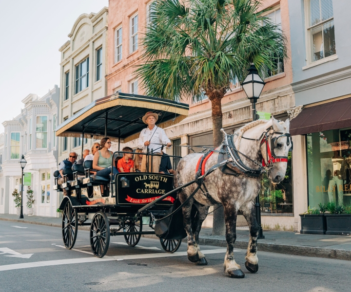 Charleston: passeio histórico pelo centro de carruagem puxada por cavalos