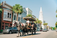 Charleston, Visite historique du centre-ville en transport à cheval - Hizvo