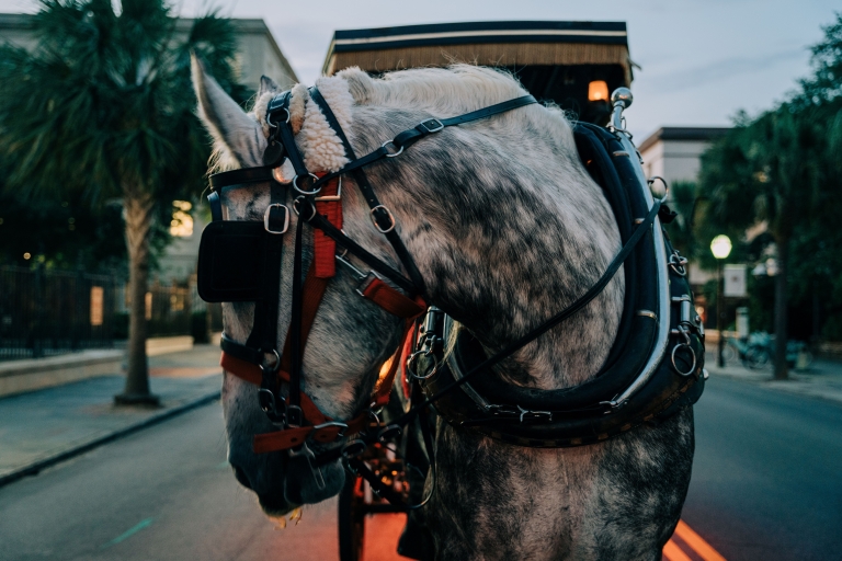 Charleston: tour nocturno en carruaje embrujado