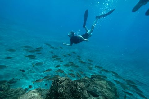 Albufeira: Snorkeling Tour with Underwater Photos