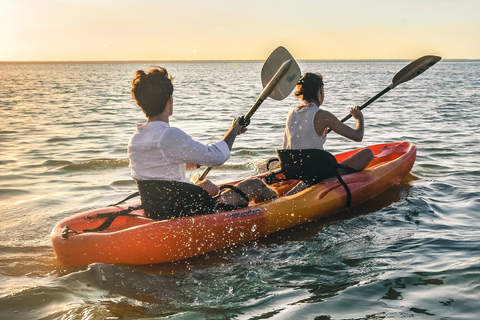 Cancún: aventura de caiaque pela manhã ou ao pôr do sol na lagoa NichupteAventura de caiaque pela manhã ou ao pôr do sol em Cancún