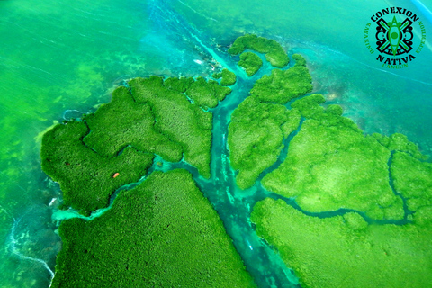 Cancún: aventura de caiaque pela manhã ou ao pôr do sol na lagoa NichupteAventura de caiaque pela manhã ou ao pôr do sol em Cancún