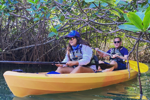 Cancún: Morning or Sunset Kayak Adventure in Nichupte Lagoon Kayak Adventure in Nichupte Lagoon