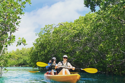 Cancún: aventura de caiaque pela manhã ou ao pôr do sol na lagoa NichupteAventura de caiaque pela manhã ou ao pôr do sol em Cancún