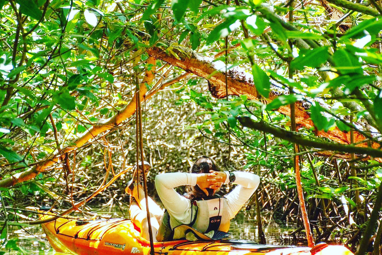 Cancún: Morning or Sunset Kayak Adventure in Nichupte Lagoon Kayak Adventure in Nichupte Lagoon