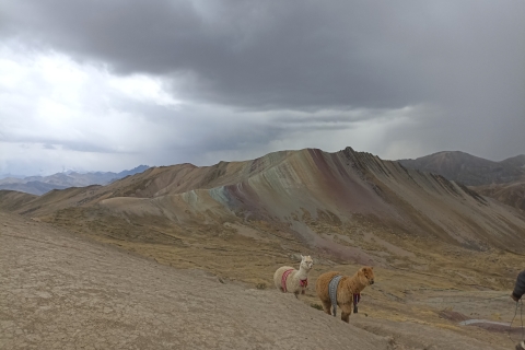 Z Cusco: wycieczka z przewodnikiem po tęczowej górze Palccoyo
