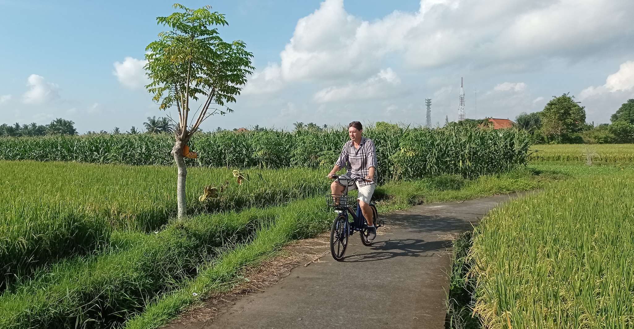 Sanur Village & Turtle Sanctuary E-Bike Tour - Housity