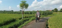Sanur Village & Turtle Sanctuary E-Bike Tour - Housity
