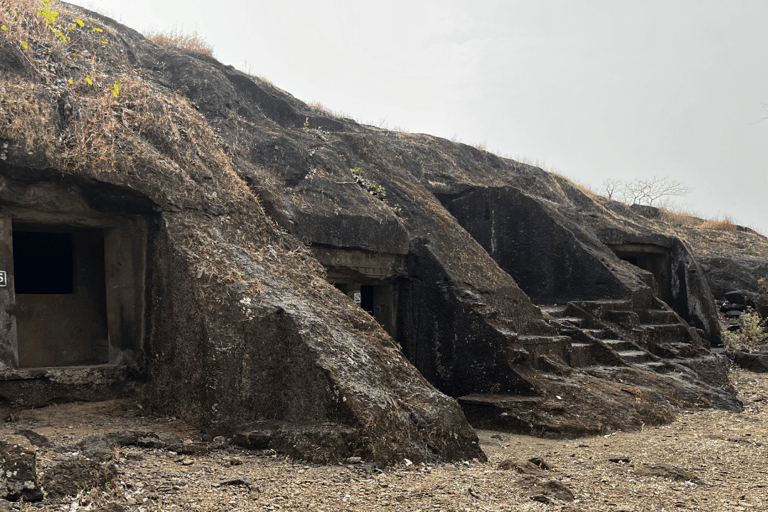 Mumbai: Tour delle grotte di Kanheri e della Pagoda Vipassana Globale