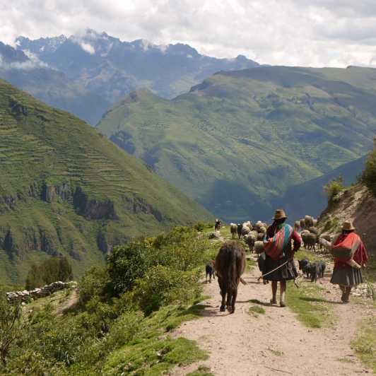 Cusco: escursione di acclimatazione di mezza giornata e trasferimenti in hotel