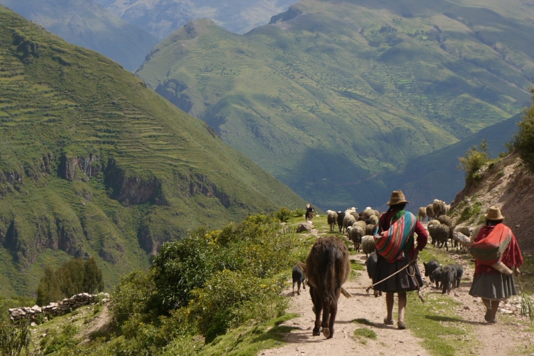 Cuzco: Caminata de Aclimatación con Box Lunch y Traslados al Hotel