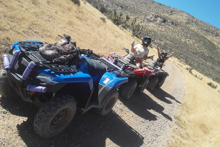 Las Vegas: Voo de helicóptero na borda oeste do Grand Canyon e opçõesVôo do Grand Canyon