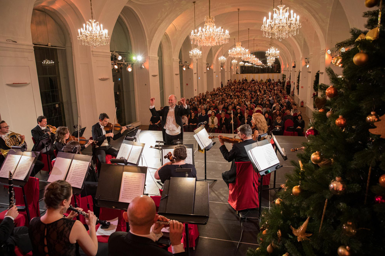 Wenen: kerstmarkt Schönbrunn en klassiek concertTicket in VIP-sectie