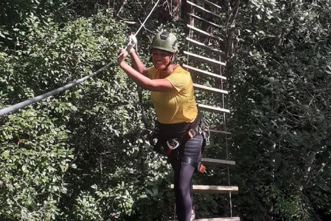 Manaus: Adventure Tree Climbing