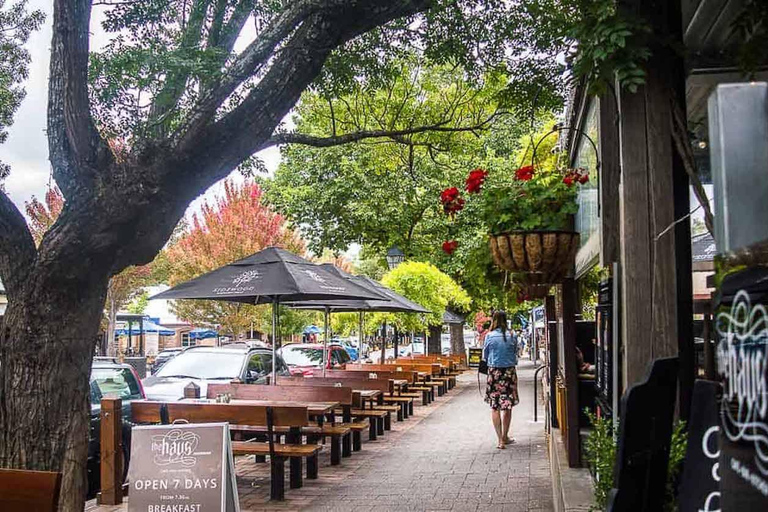 Private Day Trip to Hahndorf and McLaren Vale Bus
