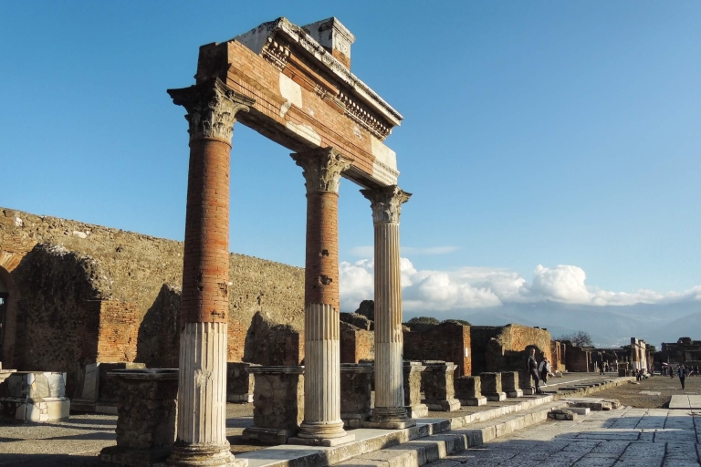 From Rome: Pompeii Day Trip by Fast Train and Car Standard Option