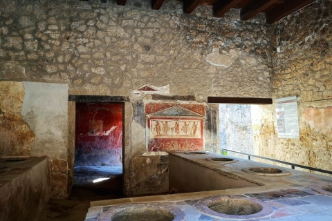 Vanuit Rome: dagtrip naar Pompeii per snelle trein en autoStandaard Optie