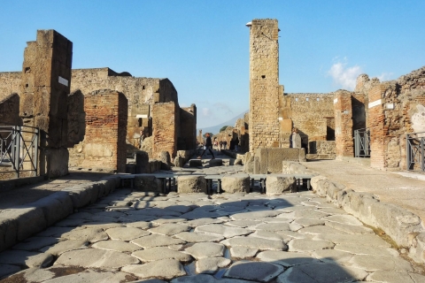 Depuis Rome : Excursion d'une journée à Pompéi en train rapide et en voitureOption standard