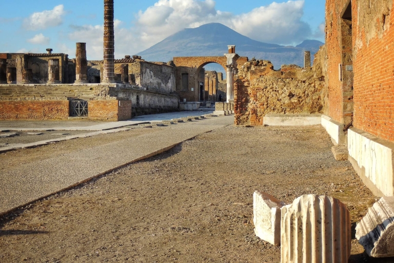 Depuis Rome : Excursion d'une journée à Pompéi en train rapide et en voitureOption standard