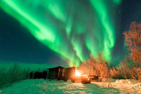 From Abisko: Northern Lights Tour with Photographer Guide