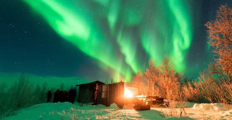 Abisko Northern Lights Tour with Photographer Guide GetYourGuide