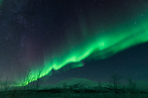 Van Abisko: noorderlichttour met gids voor fotografen