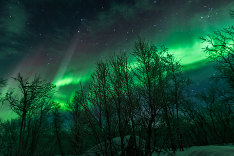 Van Abisko: noorderlichttour met gids voor fotografen