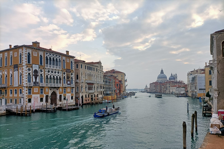 Veneza: concerto das quatro estações de Vivaldi e visita ao museu da músicaOpção Padrão