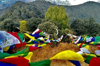 Wanderung im Nationalpark Shivapuri Nagarjun ab Kathmandu